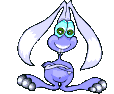 conejo