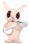 conejo