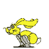 conejo