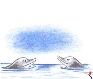 gif de delfin