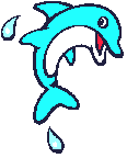 delfin