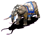 elefante caminando