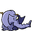 elefante