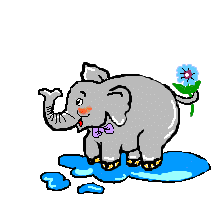 elefante