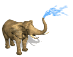 gif de elefante