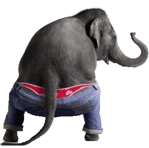 elefante