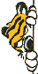 gif tigre