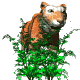 gif tigre