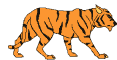 tigre
