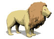 gif leon