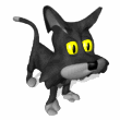 gato negro