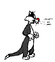 gato animado
