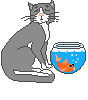 gato
