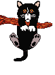 gato animado