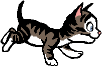 gif de gato