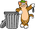 gif gato