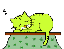 gato
