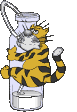 gato