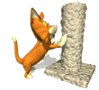 gif de gato