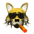 gif gato