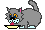 gif gato