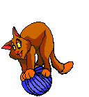 gato animado