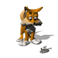 gato animado
