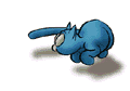 gif gato