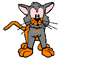gato animado