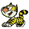 gato animado