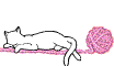 gato