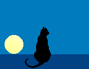 gif de gato