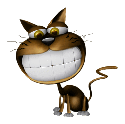 gato