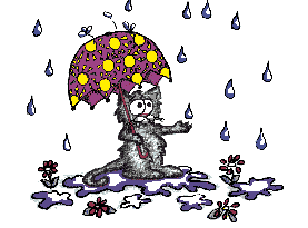 gif gato