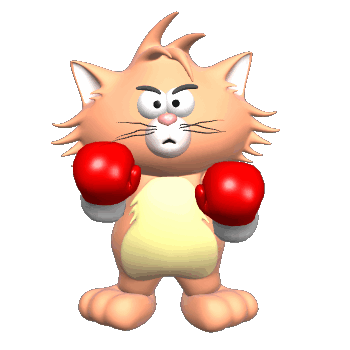 gato