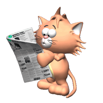 gato