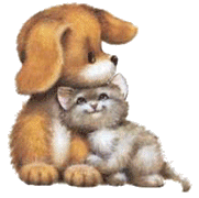 gato animado