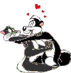 gif gatos