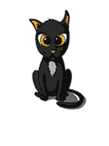 gatos negros