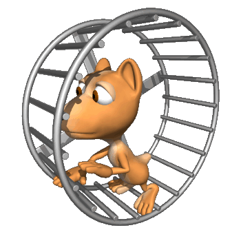 hamster