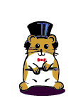 hamster