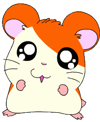hamster