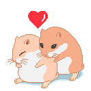 hamster