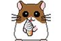 hamster
