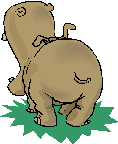 gif de hipopotamo