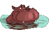 gif hipopotamo
