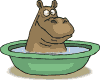hipopotamo