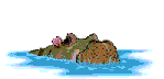hipopotamo