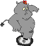 hipopotamo