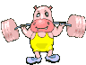 hipopotamo